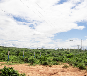 Land for sale in Diani Kenya